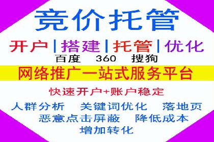 行业趋势下的SEM竞价代运营策略及成功实例